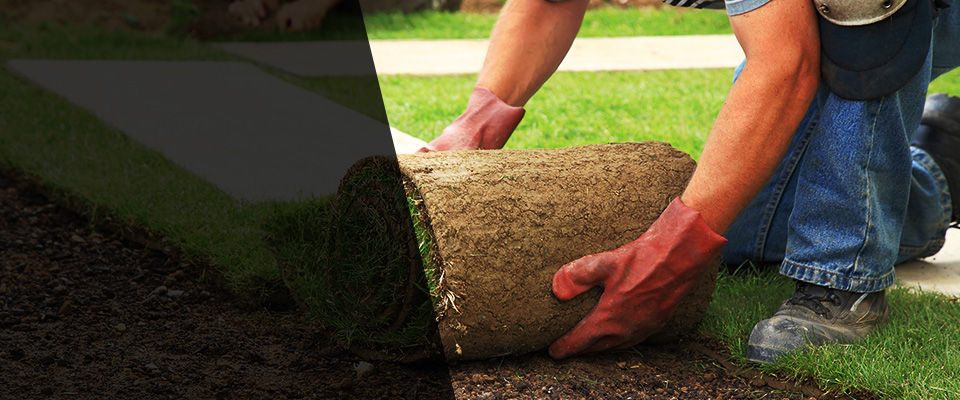 Bonneau Landscapers